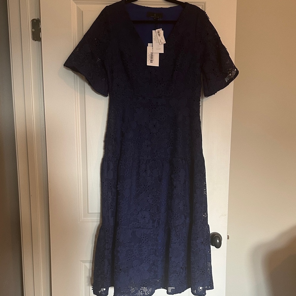 Ellery Navy Lace Midi Dress